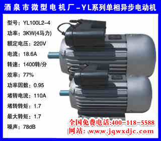 3KW �ļ� YLϵ�е����첽�綯�� YL100L2-4